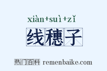 线穗子是什么意思的图片